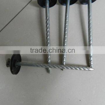 2017 Steel / Iron Nail Factory Offer 2017 photo-3