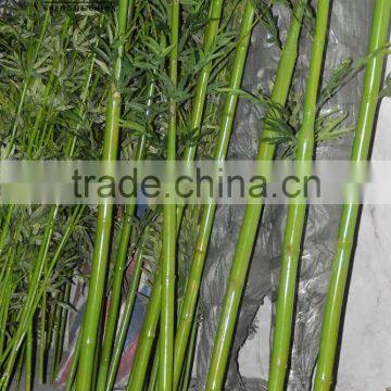 New Style Artificial Bamboo Plant/fake Evergreen Bamboo for Decoration photo-2