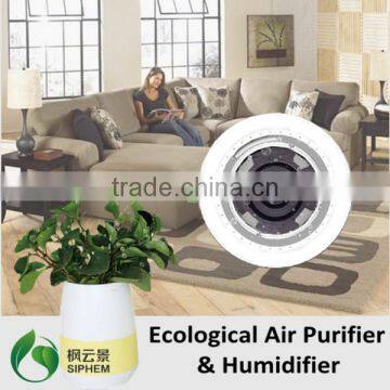 home decor pots for plants flower pots wholesale