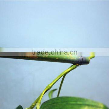 Curtain Home Garden Decorative Edging 3ft to 17ft Height Outdoor Simulation Green Bamboo Poles EZZZ06 1001 photo-4