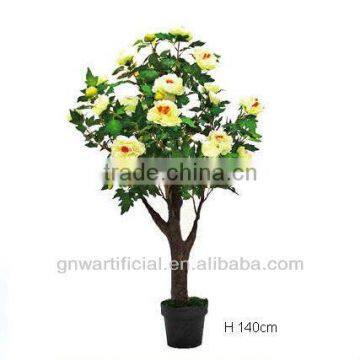 Ficus Microcarpa Bonsai Bonsai Tree Indoor Plant GNW G142 photo-4