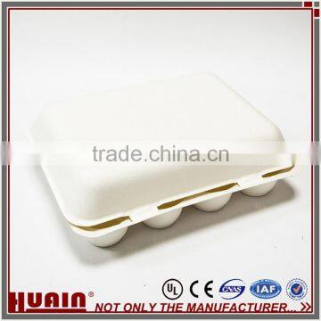 Simplification Packing Egg Tray Plant