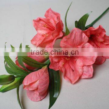 Natural Vallota Speciosa Fabric Vallota Speciosa Decorative Vallota Speciosa Artificial Flower for Wholesale photo-4