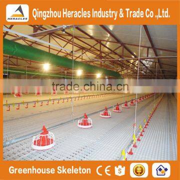 HERACLES broiler chicks rate/ automatic broiler feeding system /broiler chicken farming