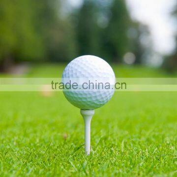 Golf Accessories Cheapest and Durable Golf Ball photo-4