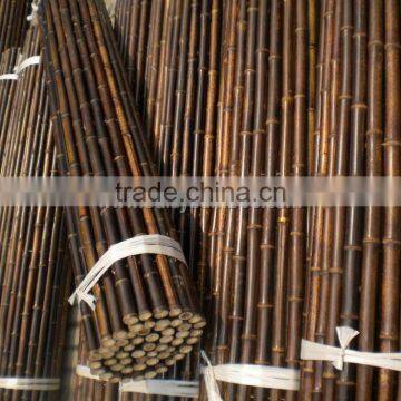 Natural Clean Dry Straight Cheap Treated Black Bamboo Poles photo-3