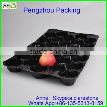 pengzhou plastic cavity tray