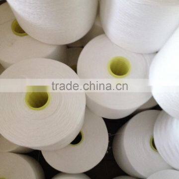 Welljoy Produce 100% Polyester Raw White Thread With High Strength and Low Shrinkage photo-4
