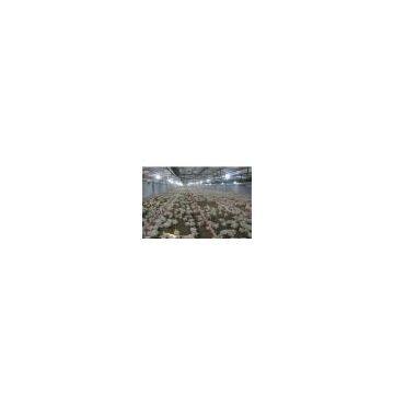 Poultry farming equipment