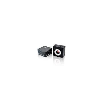 5.0MP CMOS Digital Microscope Camera