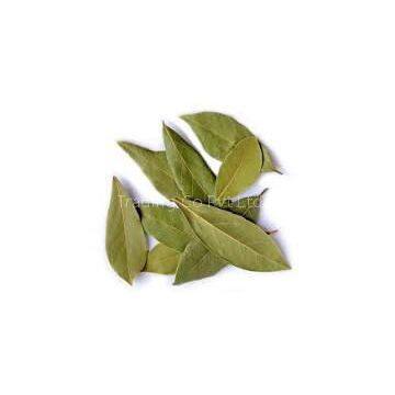 Bay leaves