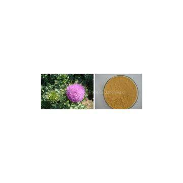 Milk Thistle Extract plant extract factory