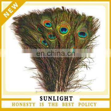 china supplier wholesale cheap peacock feather