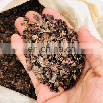 Shakti Acupressure Therapy Mat Massage Spike Mat Set of Massage Pillow and Massage Mat photo-4