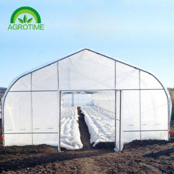 2019 Agricultural hot  galvanized steel pipe singe-tunnel greenhouse with plastic film for sale