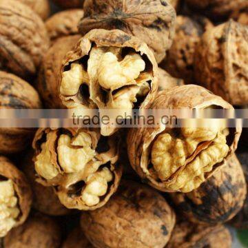 Health food fresh chinese walnuts for sale