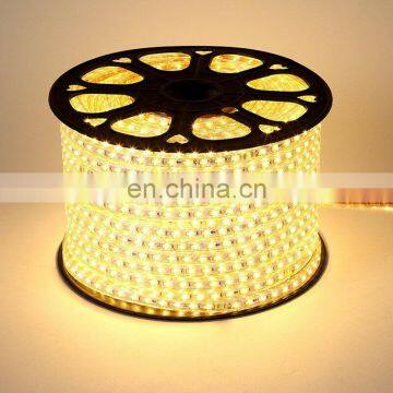 High Quality Single Color 220V 10MM Flexible Led Strip Light