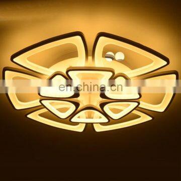 Modern Led Ceiling Lights Remote Control Living Room Ceiling Lamps Creative Bedroom Restaurant Circular Lamps photo-5