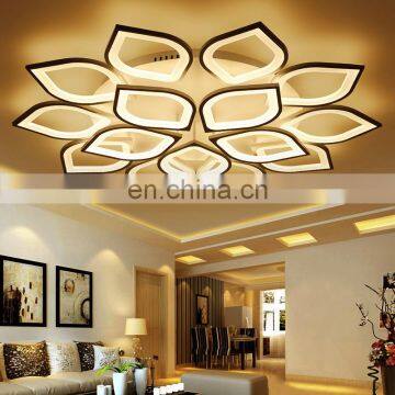 2018 New Products Creative Living Room Lamp 6/8/12 Head Warm Modern Flush Mount LED Ceiling Lamp With Remote Control photo-6