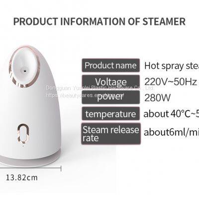 Custom Professional Portable Vaporizador Face Mister Nano Ionic Facial Steamer 3 in 1 photo-4