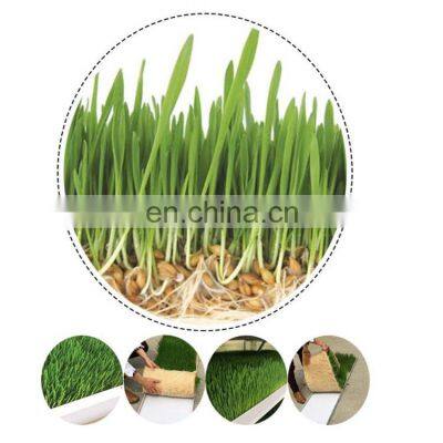 OrangeMech Automatic Hydroponic Fodder System For Cow Farm Use With Low Cost photo-2