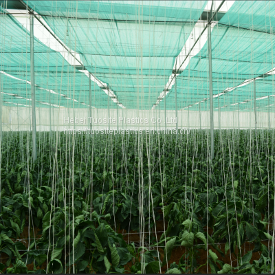 Sunshade Net Shade Net for Agriculture Shade Sails Enclosure Nets Protection UV Outdoor HDPE 50-150GSM