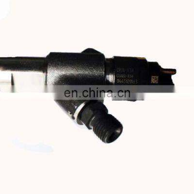 Common Rail fuel Injector 0445120163 for diesel engine