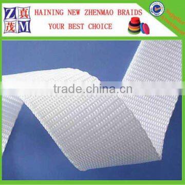 1 Inch Polypropylene Webbing photo-3