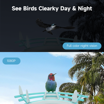 Ringsee 2.4 GHz Wi-Fi Smart Bird Feeder Camera Solar Charging 2.0MP HD Ip65 Weatherproof Network Camera for Outdoor Use photo-3