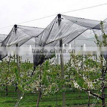 agricultural used anti hail net/hail protection net/plastic net