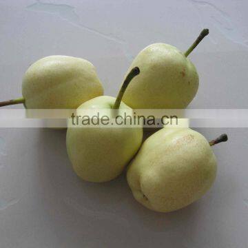 Chinese fresh Ya pear-10kg carton