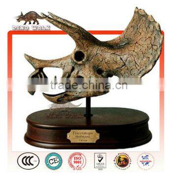 Mini Triceratops Head Skeleton Gift