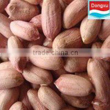 Factory directly sales peanuts kernel/red skin/blanched/fried/roasted