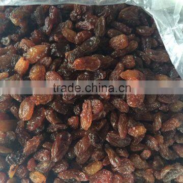 dried sultana raisins