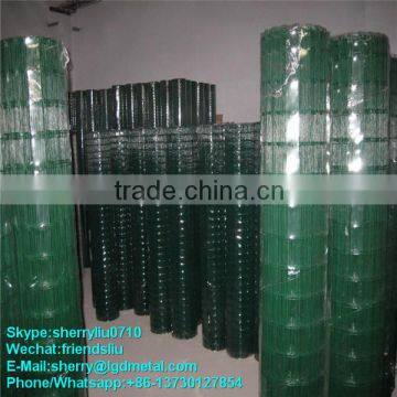 Green Color PVC coated Welded Wire Mesh 1/2" 3/4" 1"----WMSL050
