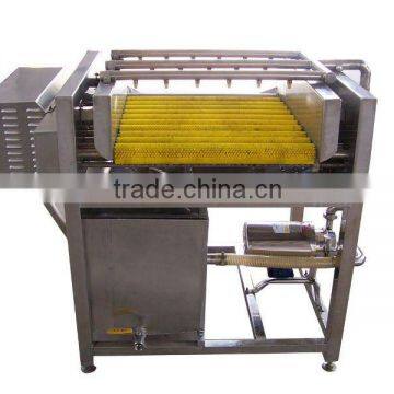 Fully automatic jujube brush cleaning machine/vegetable&fruit brush washing machinejujube