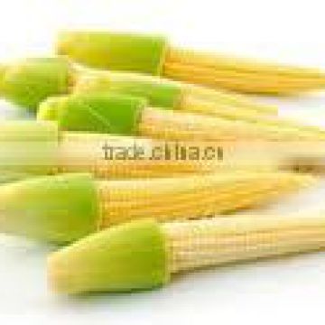 Organic Fresh baby corn