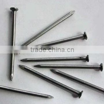 factory on hot sale manufacturer common wire iron nail common nail