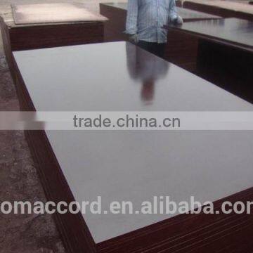 phenolic film faced plywood manufacture