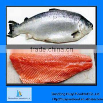 High quality new frozen fish salmon fish