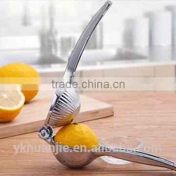 Lemon Juice for Steak photo-3