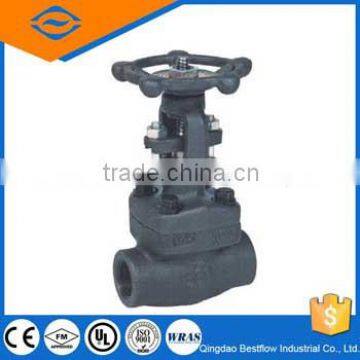 High quality socket welded gate valve