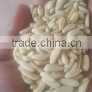 PINE NUT KERNEL photo-4