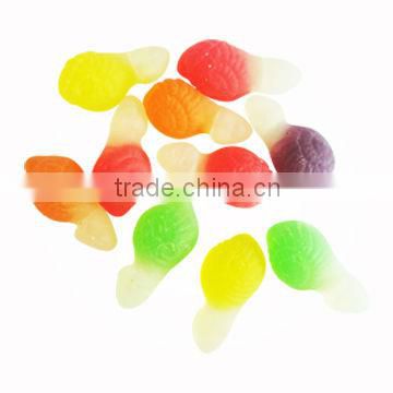 Tortoise Gummy Candy