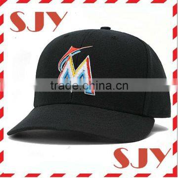 Wholesale custom embroidery promotional advertisment caps