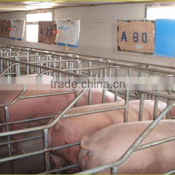 Pig penning of gestation house