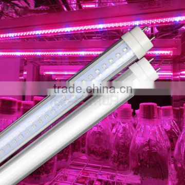 16W G13 tomatoes full spectrum LED grow tubes supplier