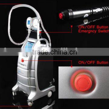 Hot Sale 3 Heads Fat Freeze 220 / 110V High Quality Cryolipolysis Cryo Lipo Machine Body Reshape photo-4