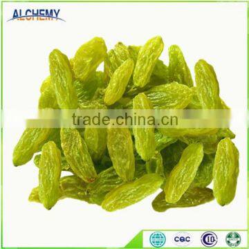 best quality green raisin and raisin for selling