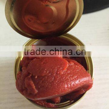 Canned Tomato Paste With Easy Lid or Normal Open Tomato Paste for Dubai photo-2